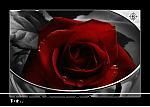 vacantza insula sherpilor andreea ....s-a fete ani