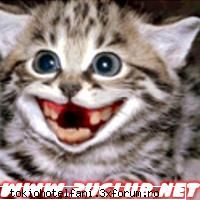 een dood meeschen miam reparat mediile... next plz