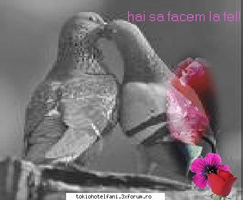 dimineatza nu au mai fost fetele la mine in ridicat am facut un dush si m-am plecat jos sa vad ce
