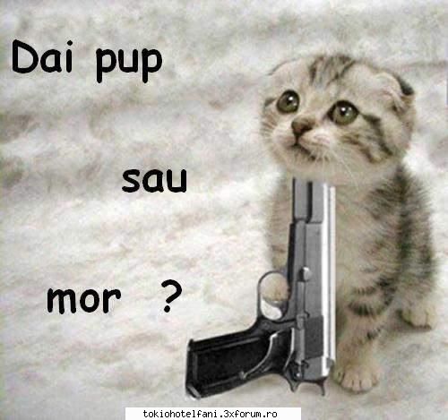 2 nebune - A;DECI VOI SUNTETI CEI CARE NE FACETI ZILELE - Povesti cu si despre TH