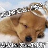 2 trupe !!! - cum adik ''doar atat''??? - Arhiva fan-ficuri