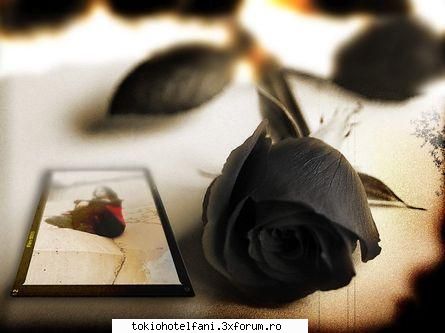 please don't cry - ** H3nR!3Tt@ ** - Arhiva fan-ficuri